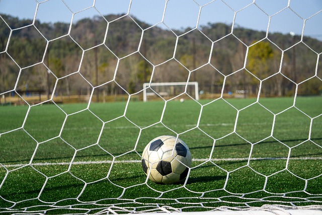 哈维扮演着 哈维扮演着