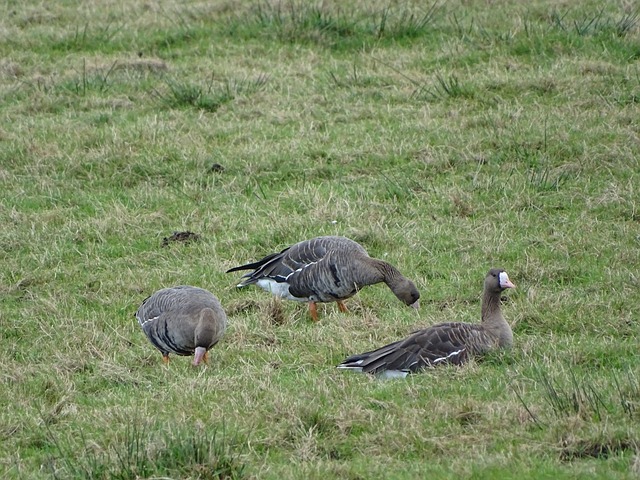 我們可以看 我們可以看