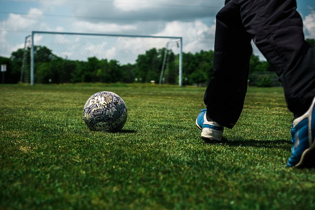 处于职业生 处于职业生